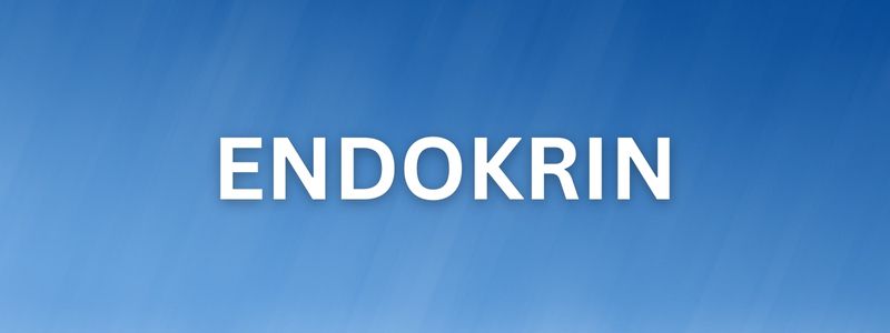 endokrin